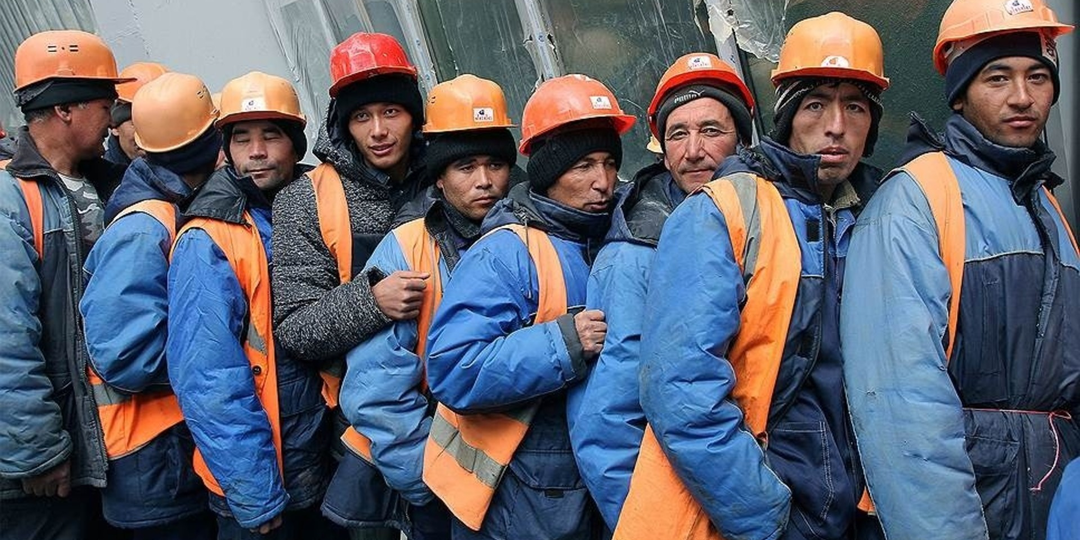 72% мигрантов едут в Хабаровск не трудиться, а обживаться за ваш счет >