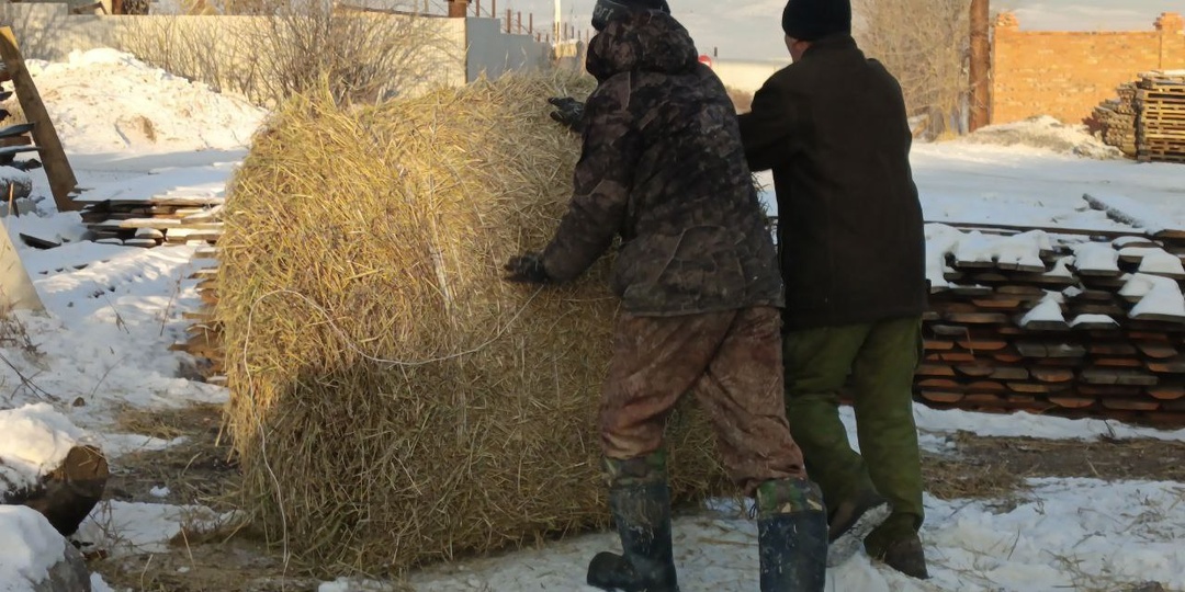 Нам очень нужна помощь в выплате зарплаты сотрудникам