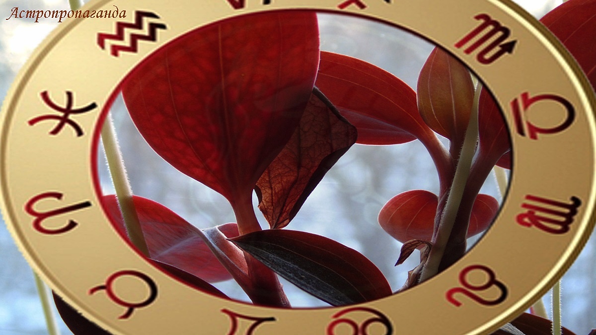 Гороскоп с 26 января по 1 февраля 2026: соединение Марса с Плутоном, переход Нептуна в Овна | Недельный гороскоп