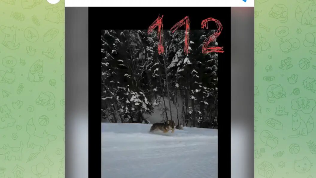    Telegram-канал "112"