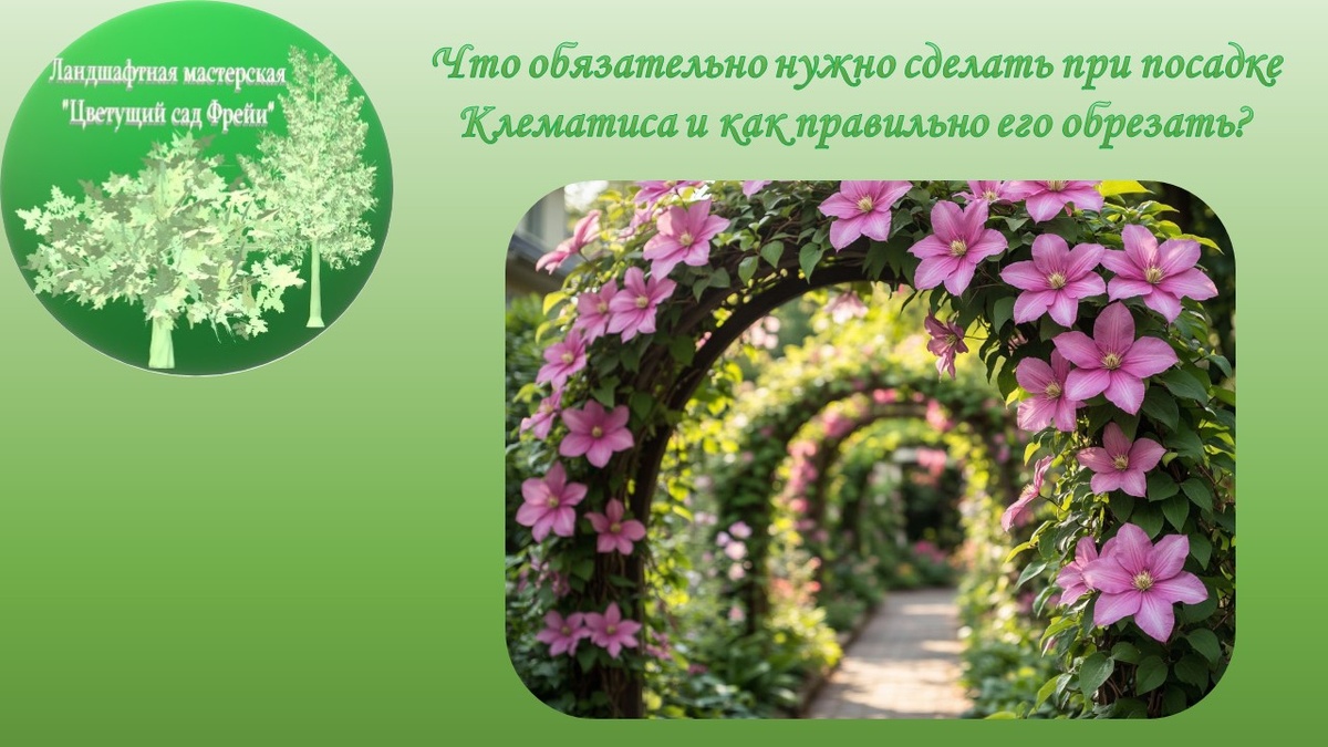 Фото автора с использованием изображения, созданного ИИ.