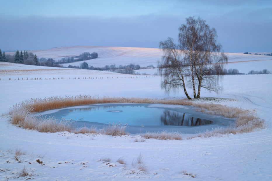    Shutterstock/FOTODOM