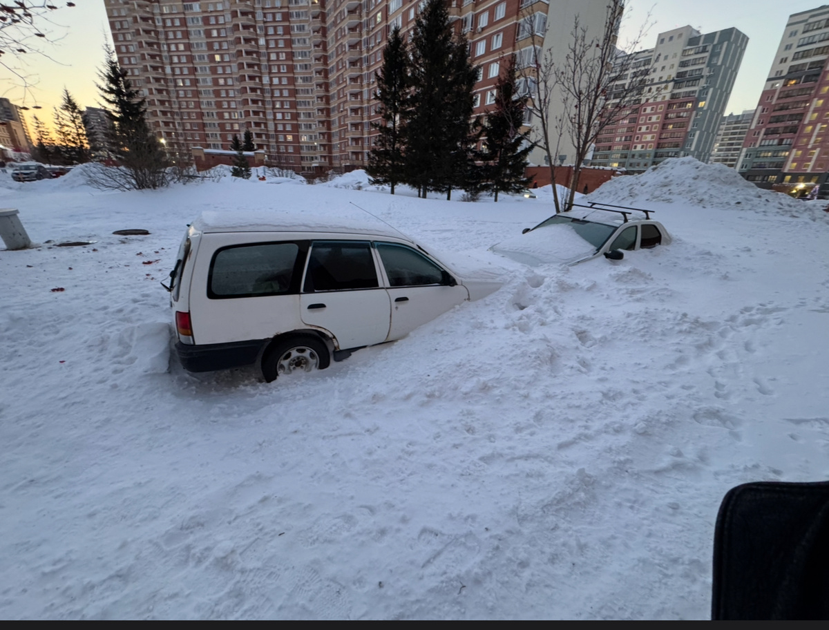 Фото для иллюстрации.