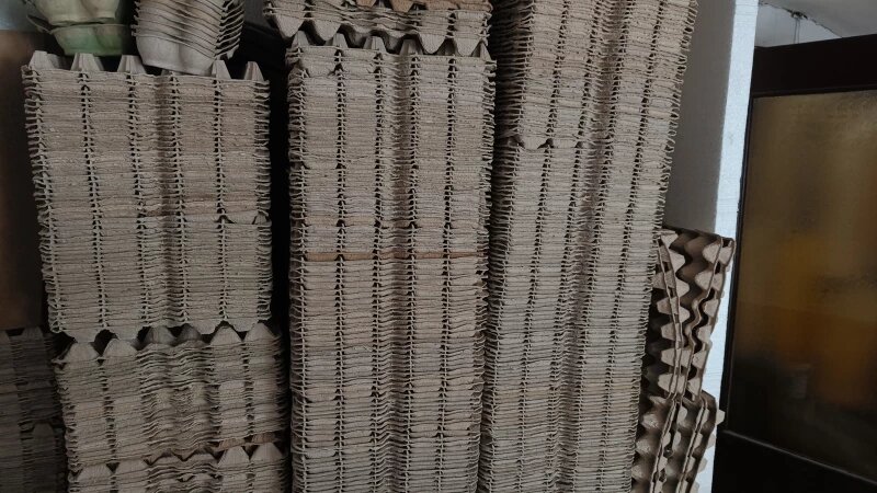     Картонные лотки для яиц Валерия Момонова