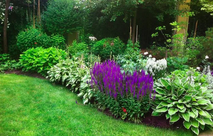 Теневыносливая клумба