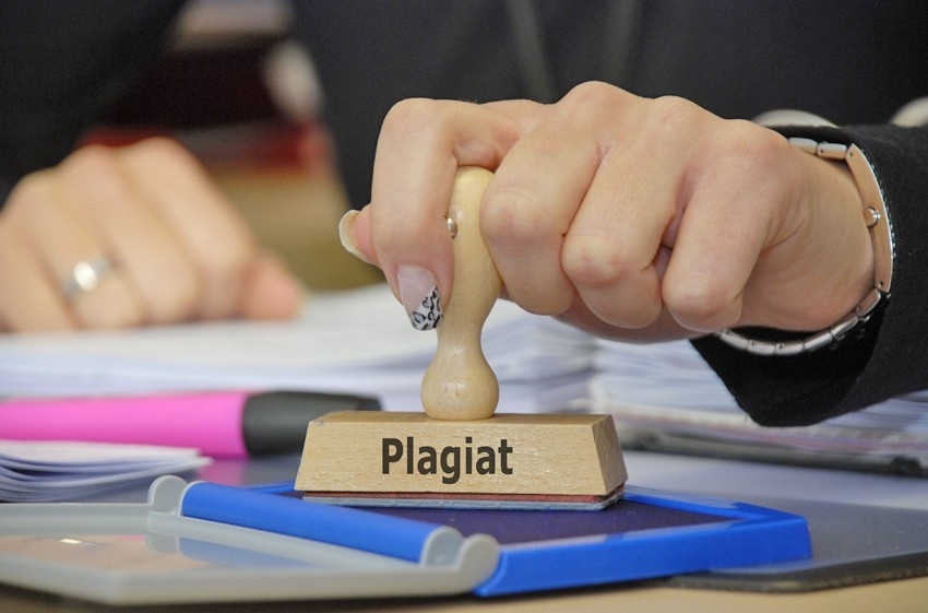 Плагиат из Мордовии