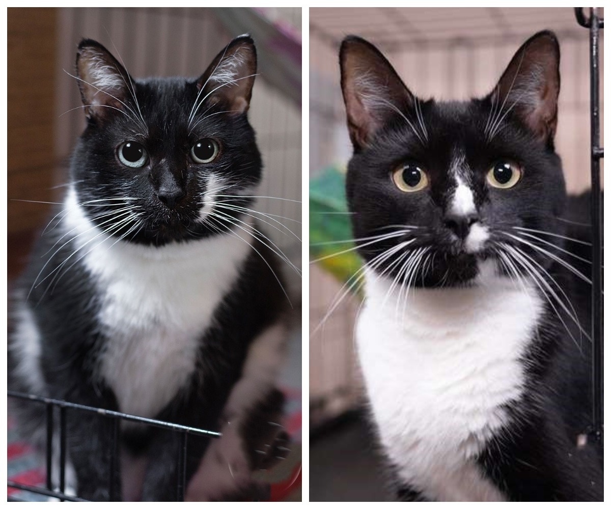 Сладкопуз, 6 лет и Ращупкин, 5 лет.