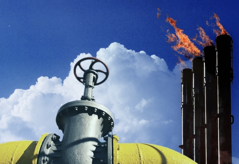    Иллюстрация: REX