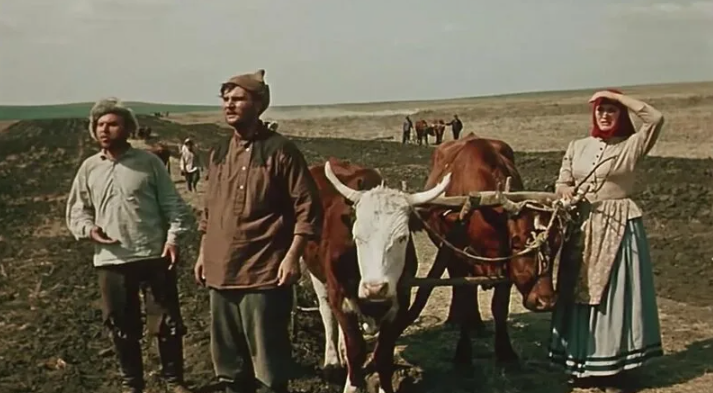Кадры из фильма "Поднятая целина". Яндекс картинки.