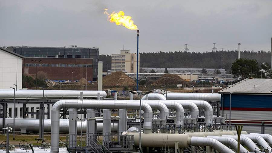    Фото: TASS/dpa/picture-alliance/Stefan Sauer