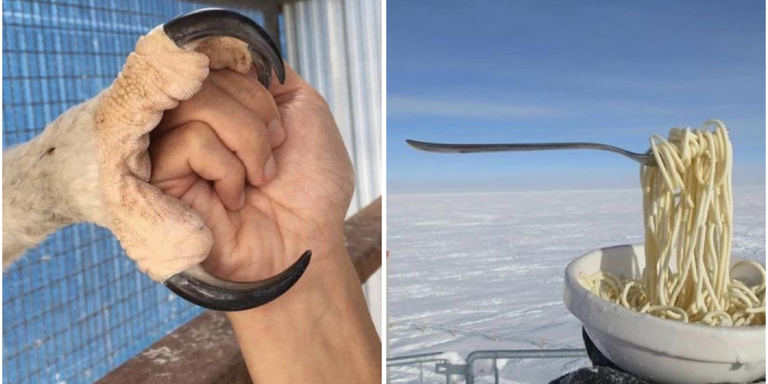 20+ фото, которые легко перевернут представление о мире, если вам кажется, что вы уже видели все