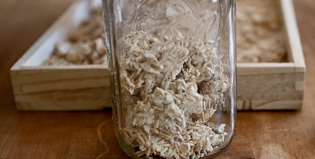 Искусство ко̄дзи: механизмы ферментации риса и формирование вкуса японских спиртных напитков