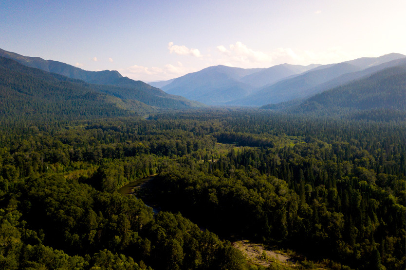     Фото: Андрей Огородник / ТАСС