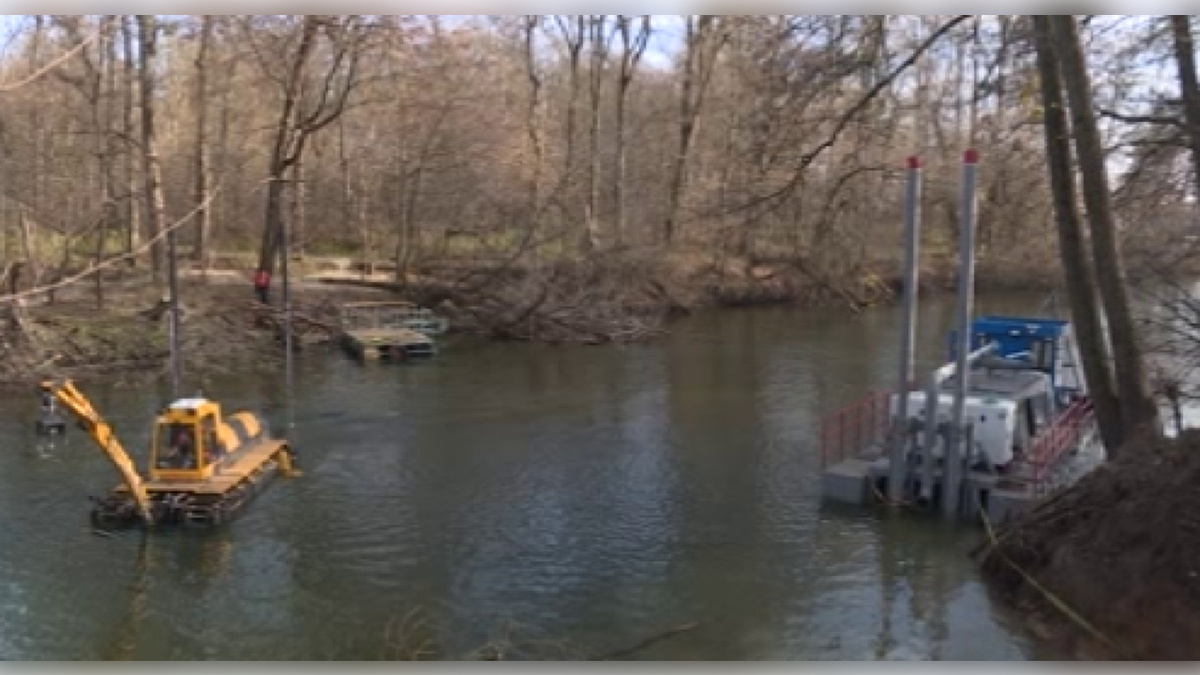    В Курске при расчистке реки Тускарь подрядчик нарушил лесное законодательство
