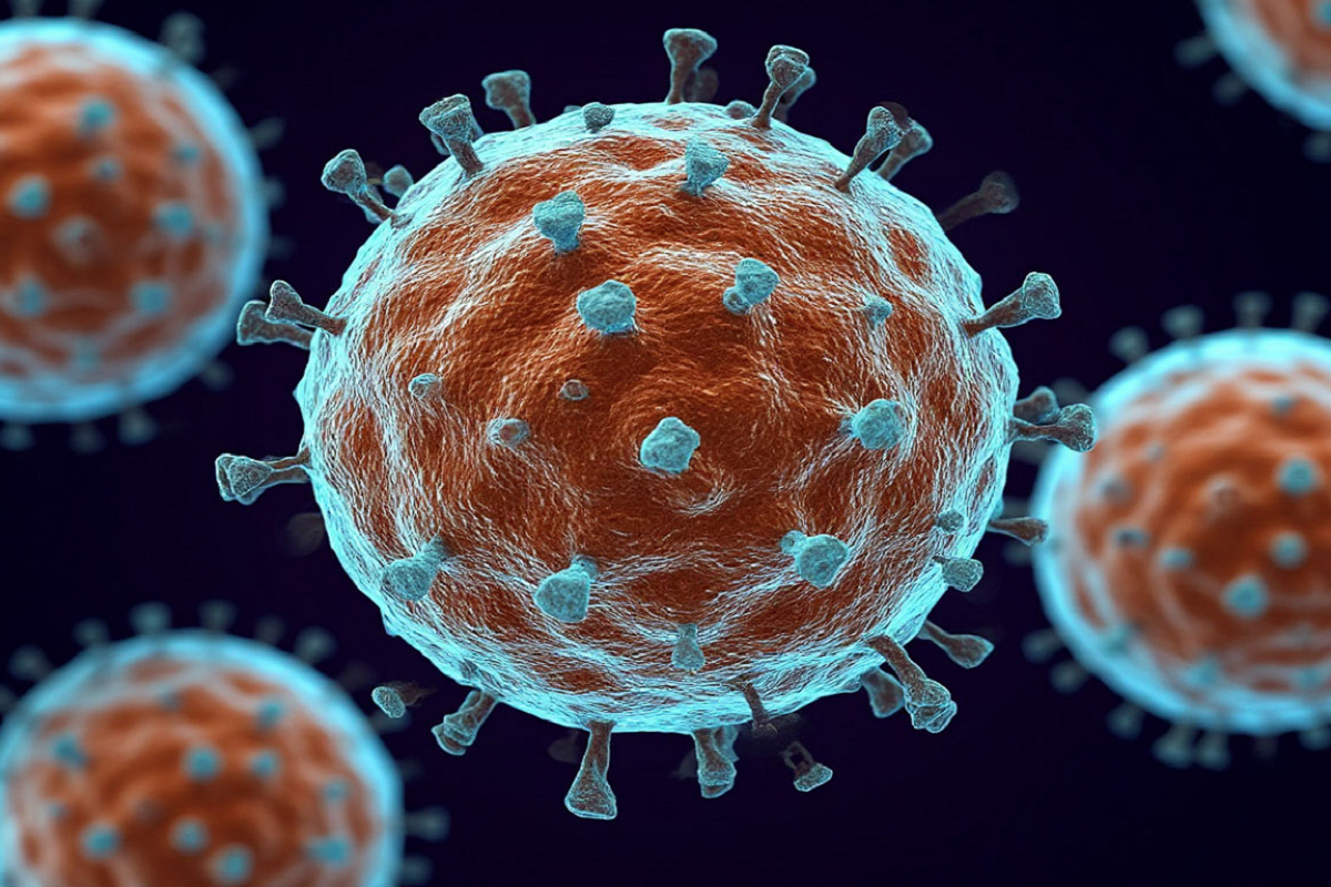    Фото: коллаж RuNews24.ru