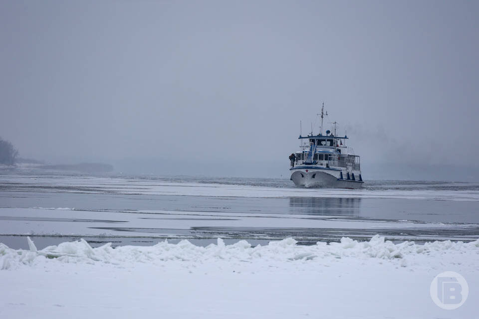    Фото: Дмитрий Рогулин / "Городские вести"