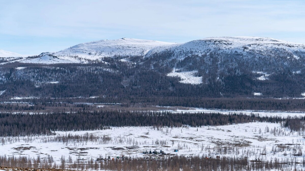    Фото: Сергей Зубков / «Ямал-Медиа»