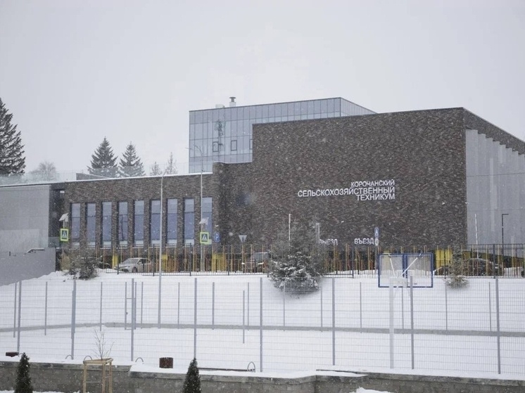     В белгородских колледжах и техникумах введут новую модель подготовки кадров, фото: vk.com/gladkov_vv