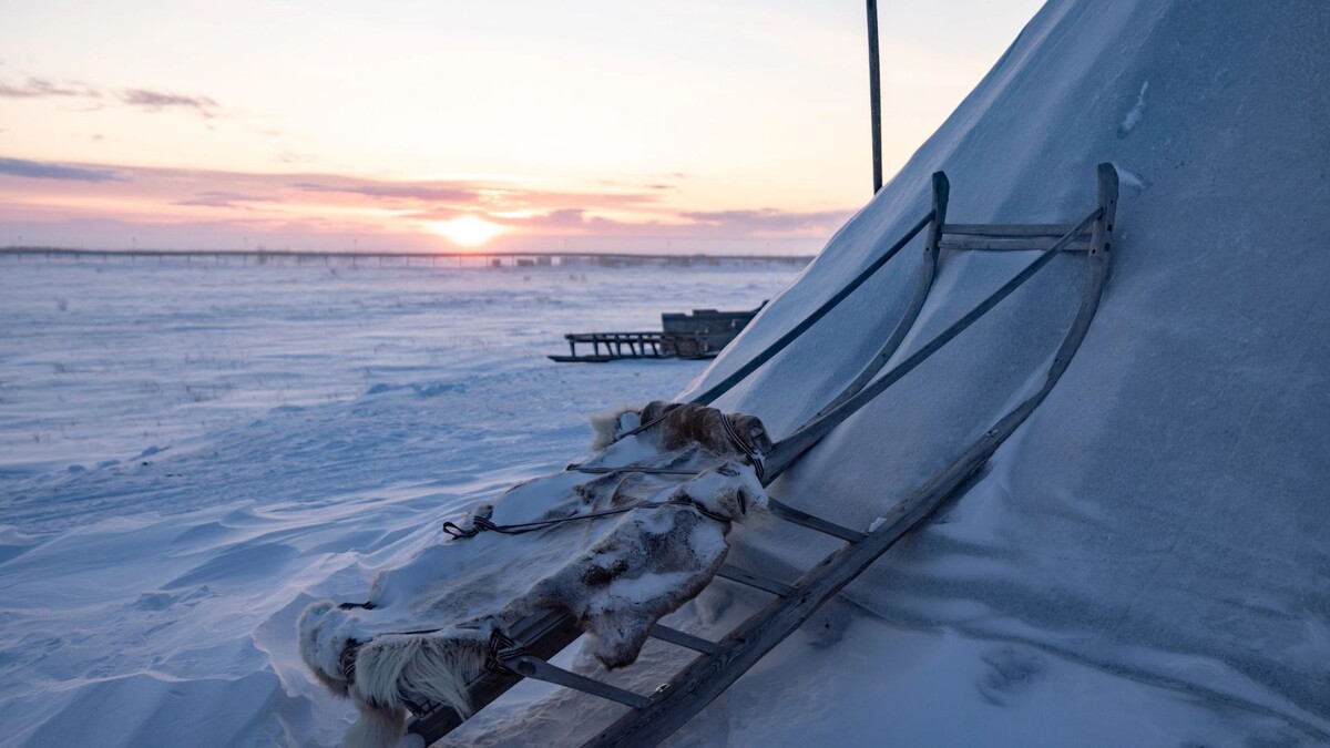   Фото: Сергей Зубков / «Ямал-Медиа»
