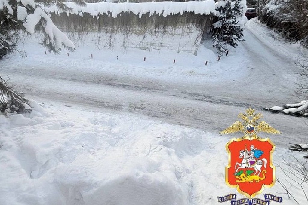    Фото © Пресс-служба ГУ МВД России по Московской области