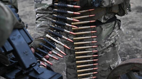    © РИА Новости . Константин Михальчевский