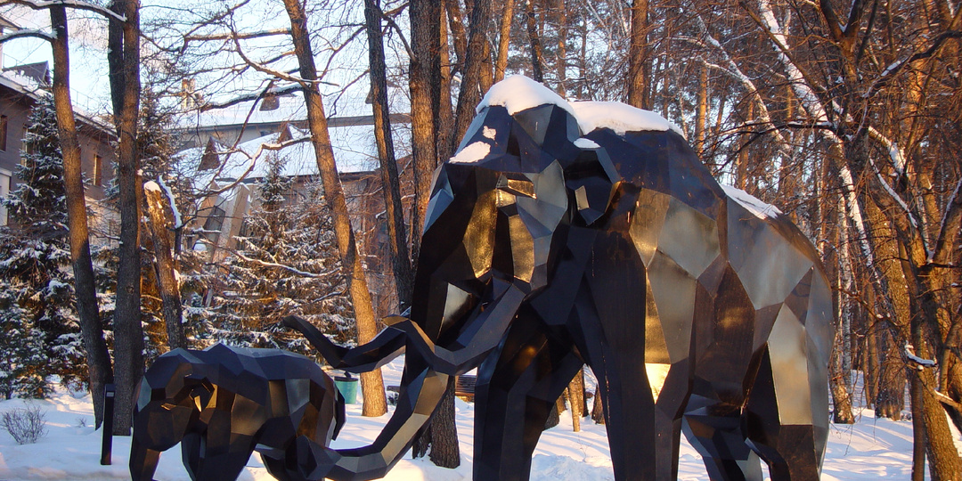 Легендарная F707 из 2001 года