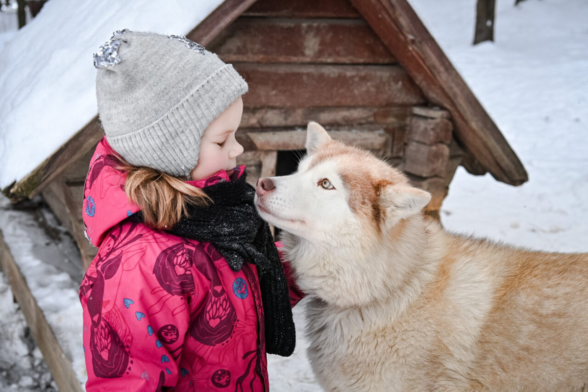    Фото: "Республика" / Оксана Кудряшова
