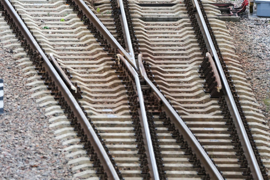    Алексей Белкин/NEWS.ru