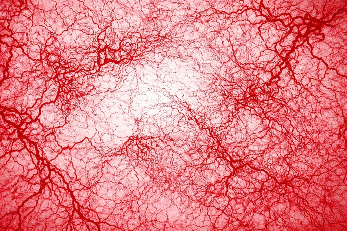    Кровеносные сосуды глаза настолько тонкие, что их диаметр меньше одной десятой миллиметра