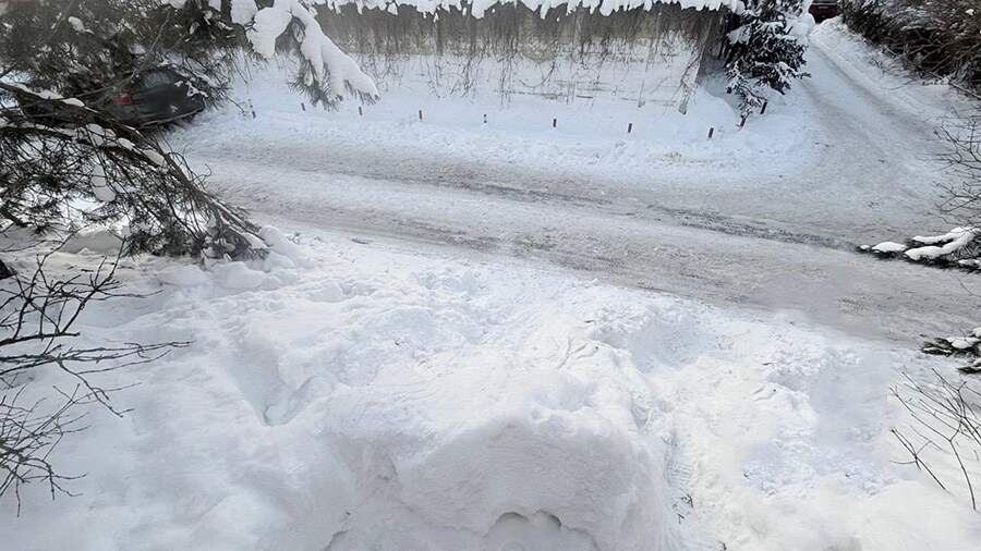 Фото: t.me/gumvd50