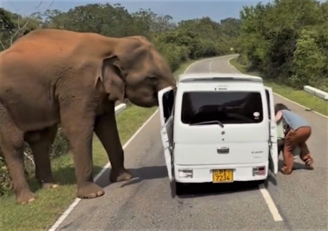     / Источник: Кадр из видео