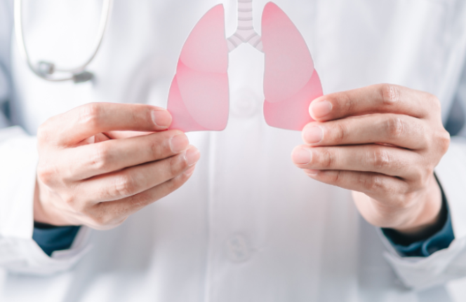 Фото носит иллюстративный характер: открытые источники