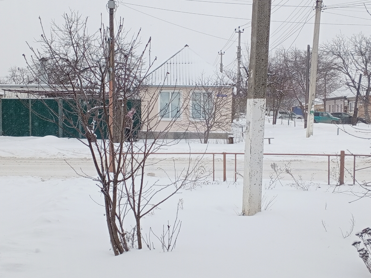 Вид из окна. Фото автора.