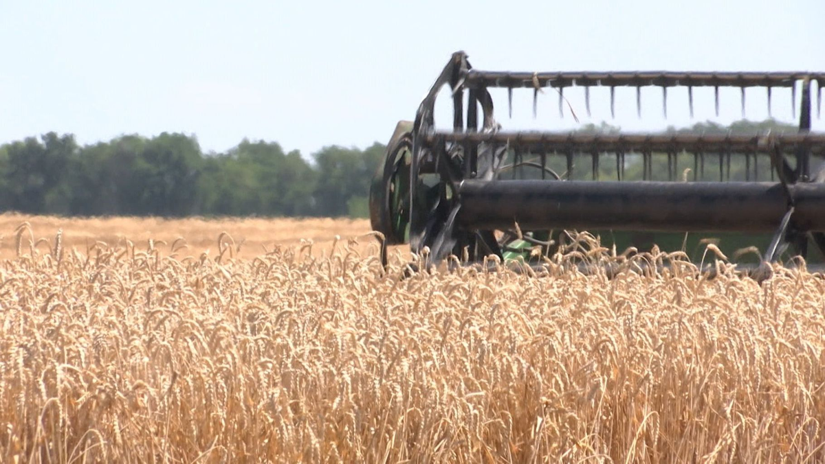 Фото: Царьград