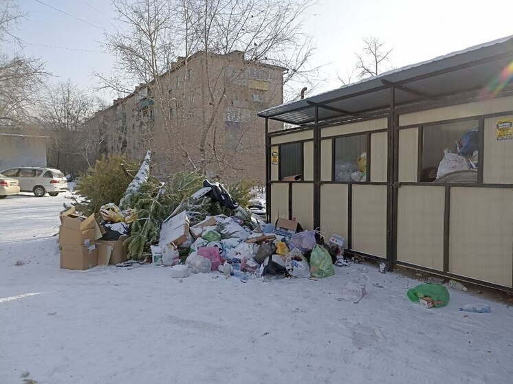     фото читателя «МК в Чите»