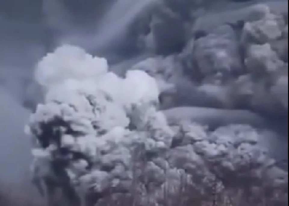 Фото: кадр из видео. Опубликовано «КП-Дальний Восток» 