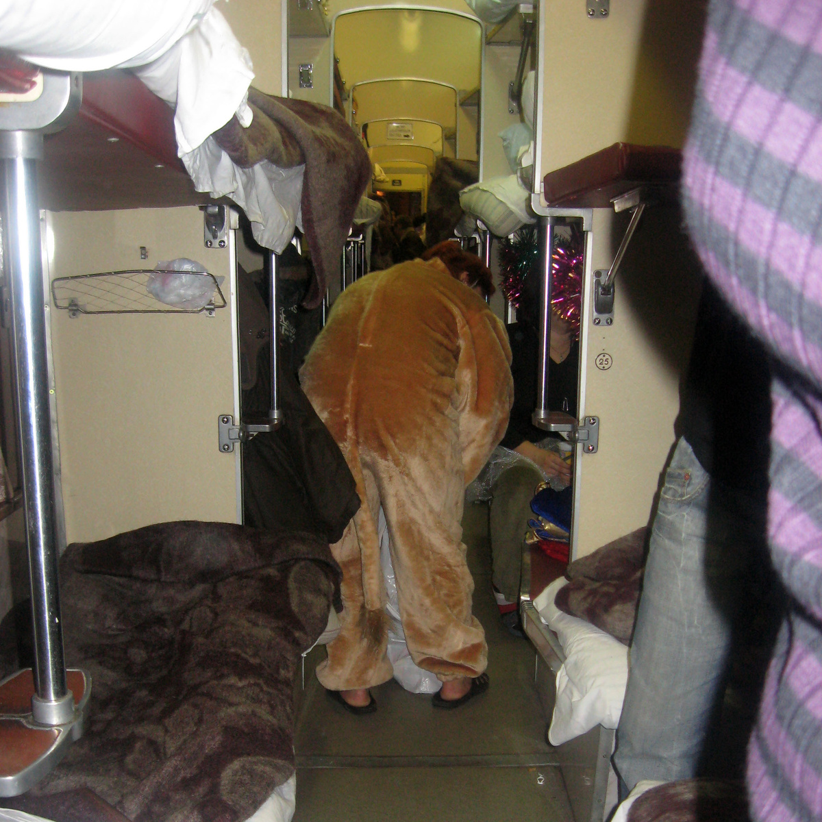 В поезде ехали и такие персонажи. То ли львица, то ли тигрица. Фото автора.