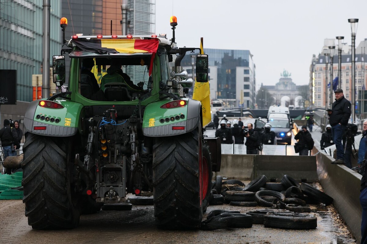     / Источник: © Benoit Doppagne/Belga/Global Look Press