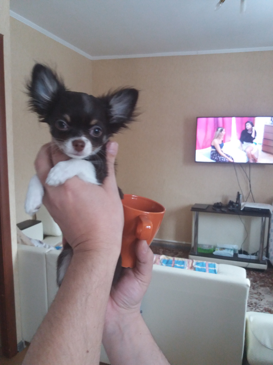 фото из личного архива автора