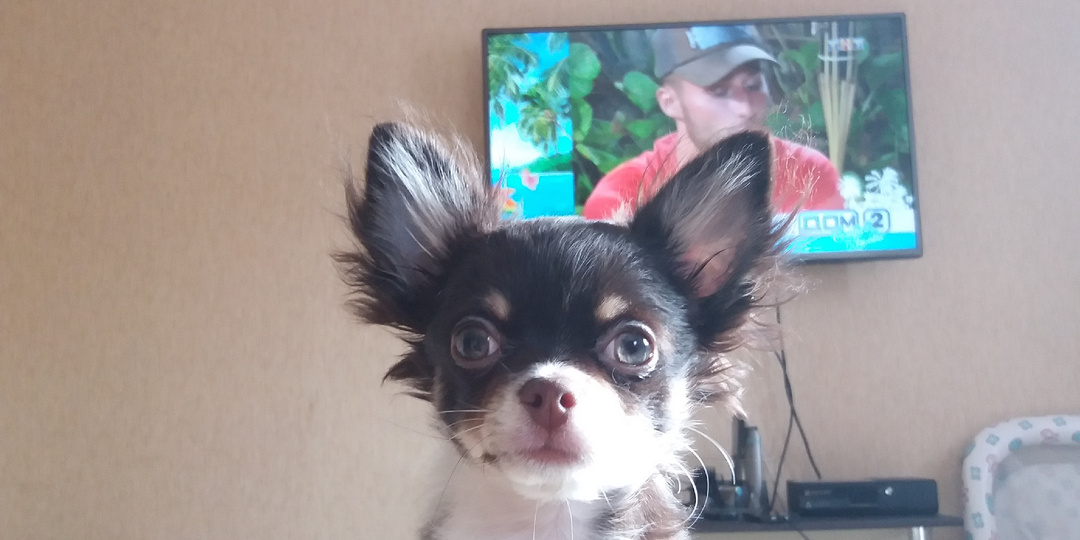 Наше маленькое сердце с большим характером