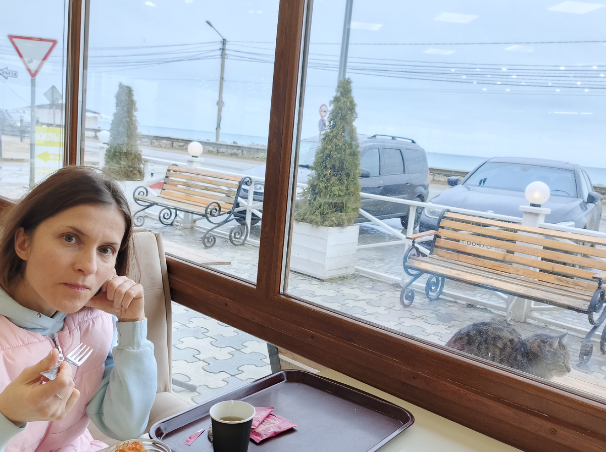 Без кошек в Крыму никуда.