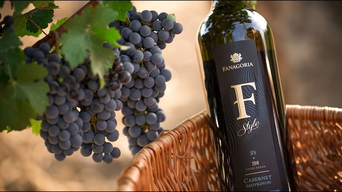 Фото взято с сайта https://www.fanagoria.ru/about