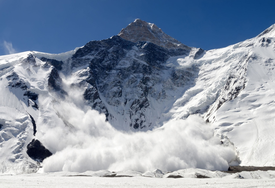    Shutterstock/FOTODOM