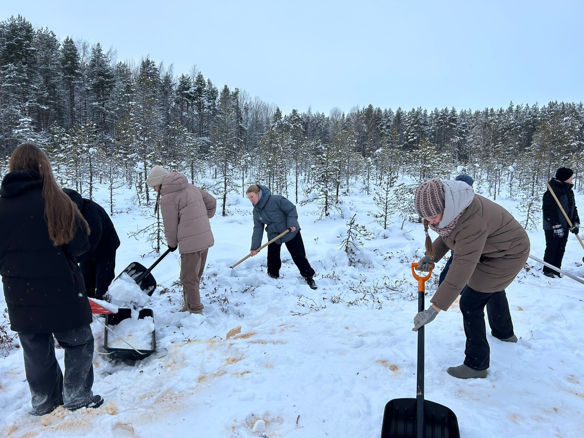    Жители карельского села Эссойла вручную спасли лыжню© Администрация Эссойльского сельского поселения/ ВК