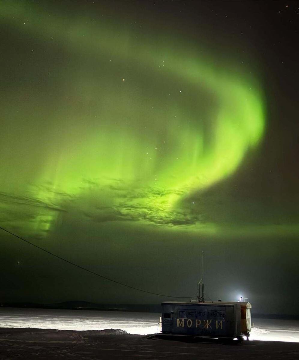     фото: соцсети Анастасии Мишиной