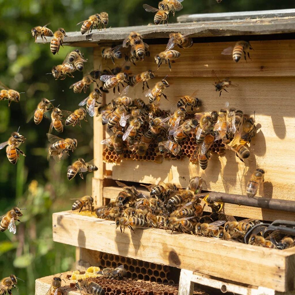 Изображение сгенерировано сервисом GigaChat 