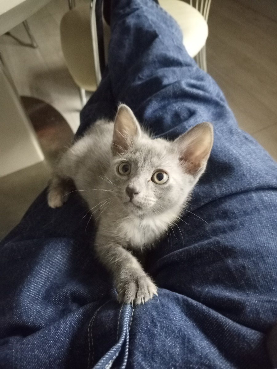 Это для позитива. Просто не знаю, что сюда воткнуть))