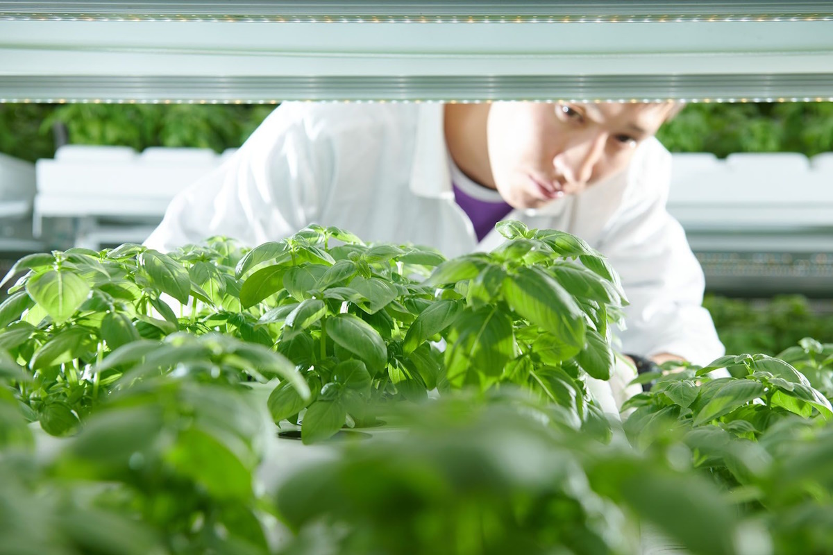    Фото: правительство Москвы, источник: mos.ru