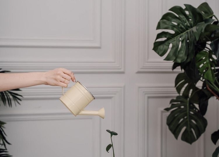 Завершаете работу с психологом: что дальше?