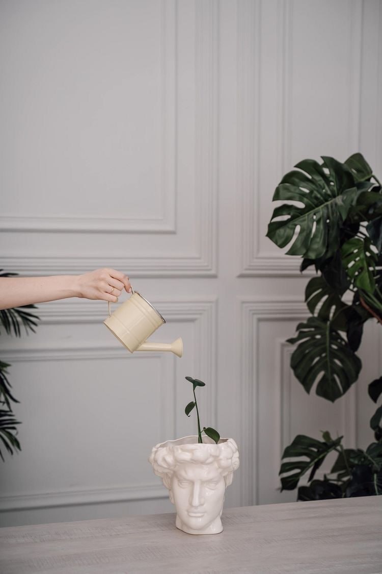 В психологической работе роль такого «опытного инструктора» после завершения основного курса играет формат поддерживающих встреч — например, раз в месяц.
